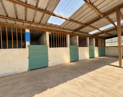 box pour cheval aux Pujols en Ariège 09
