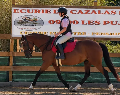 travail et débourrage pour cheval aux Pujols en Ariège 09