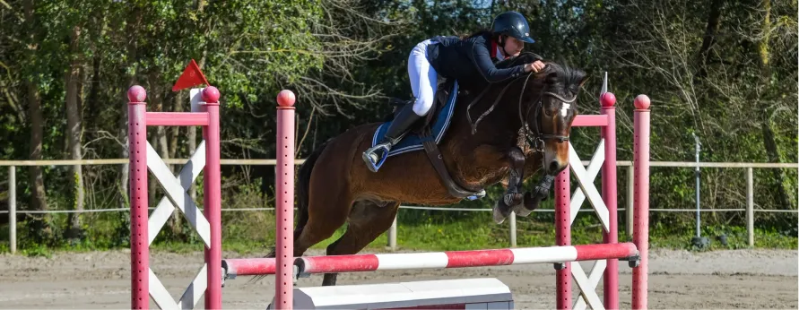 concours sauts obstacles aux Pujols en Ariège 09