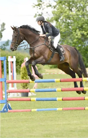 concours cheval aux Pujols en Ariège 09