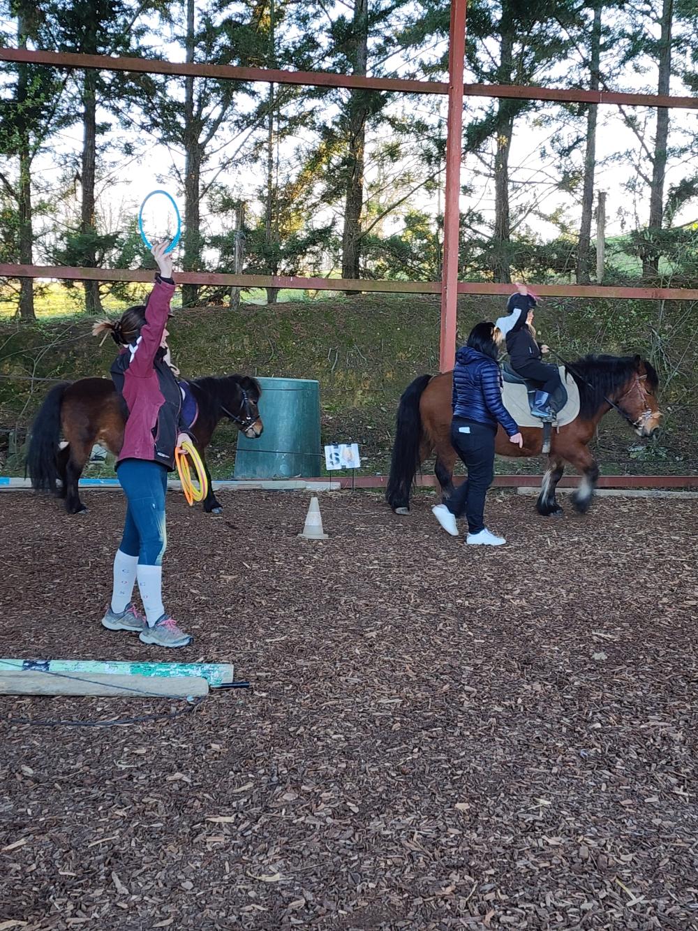 Le baby-poney !